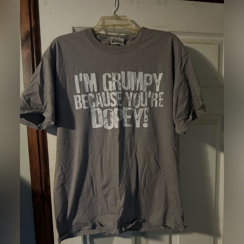 1 Gray Snow White Tshirt. I’m Grumpy because you’re Dopey! Size Large.